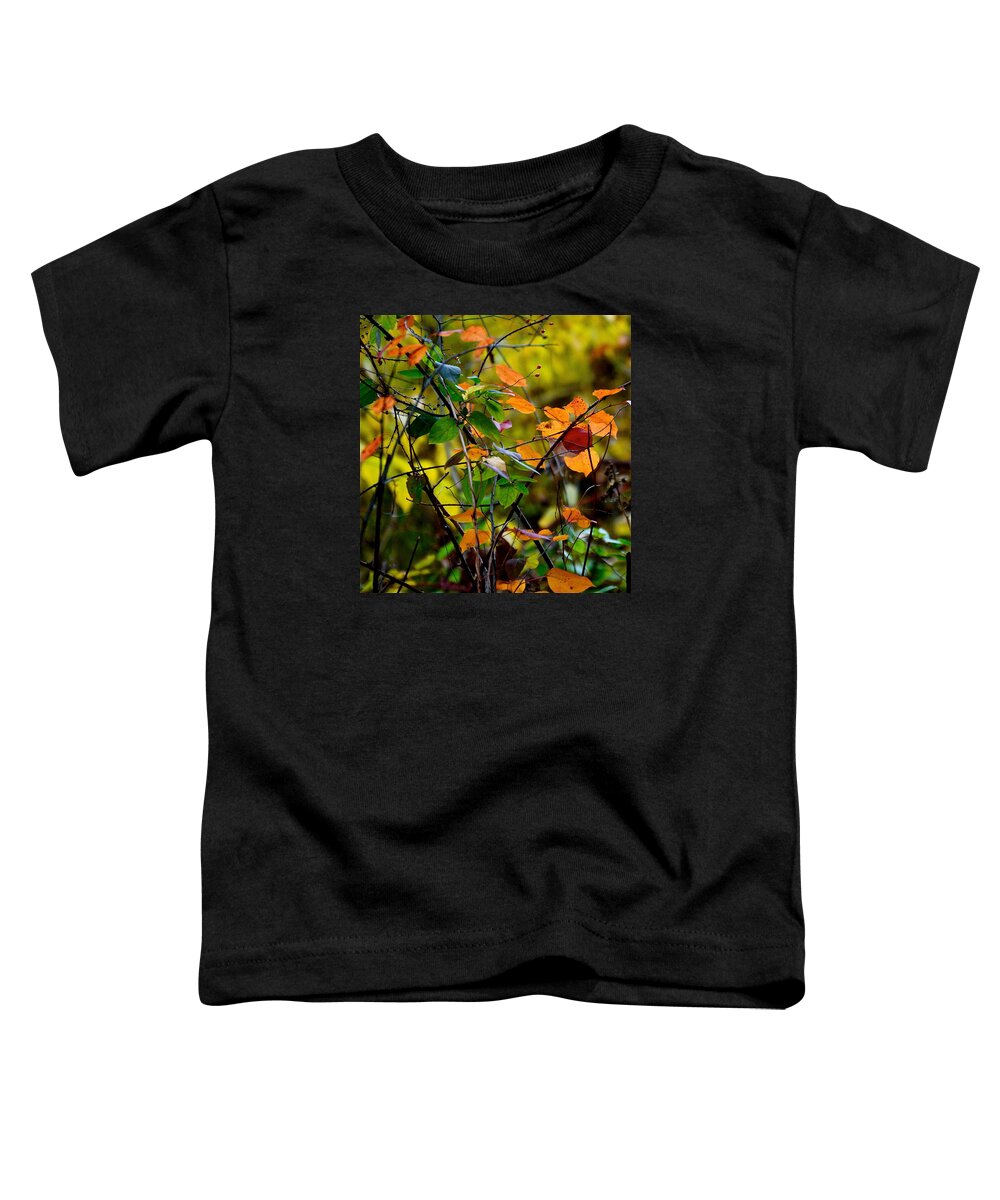 Fall Toddler T-Shirt featuring the photograph Silence Is Golden by Ira Shander