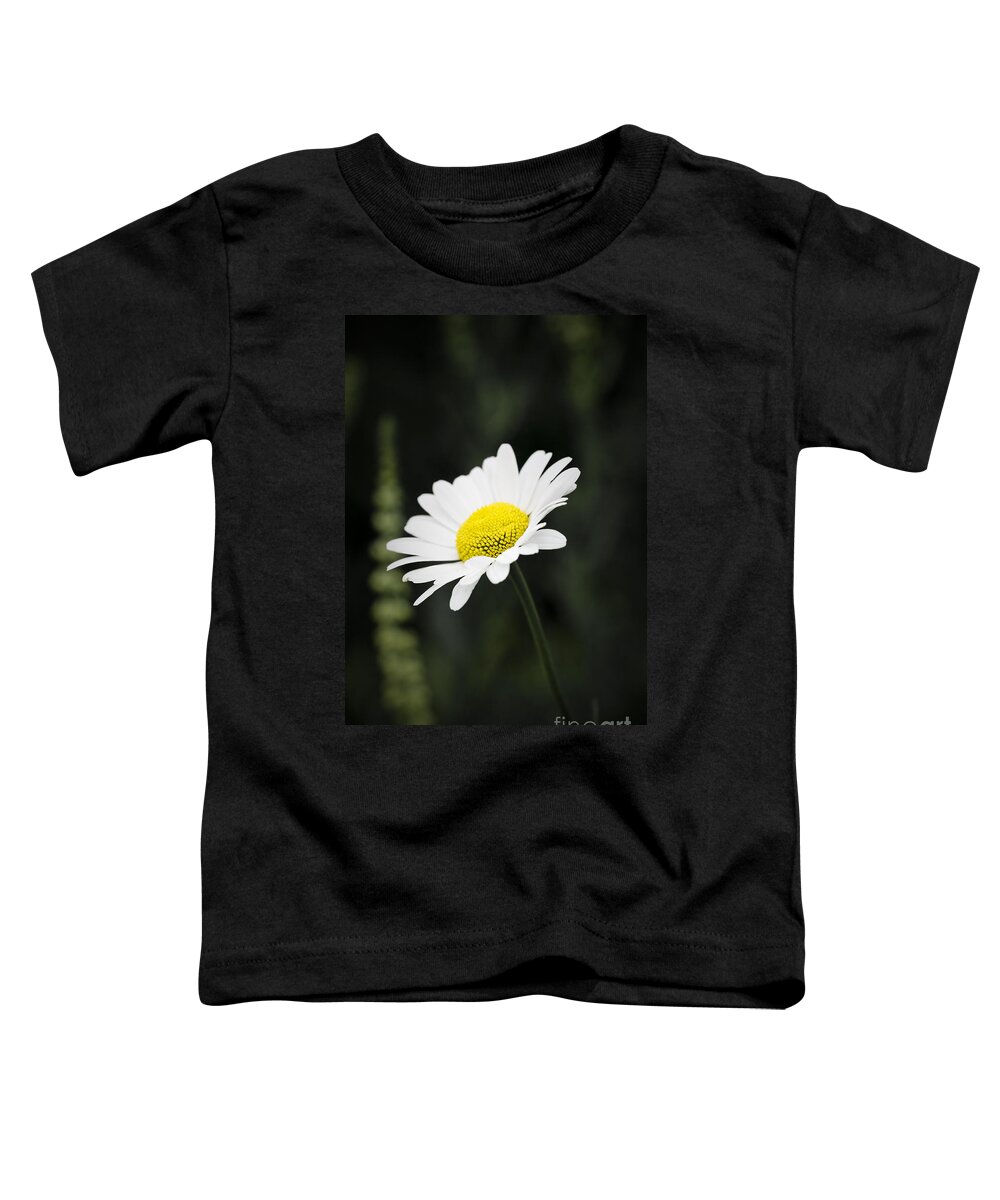 Flower Toddler T-Shirt featuring the photograph Single wild daisy by Simon Bratt
