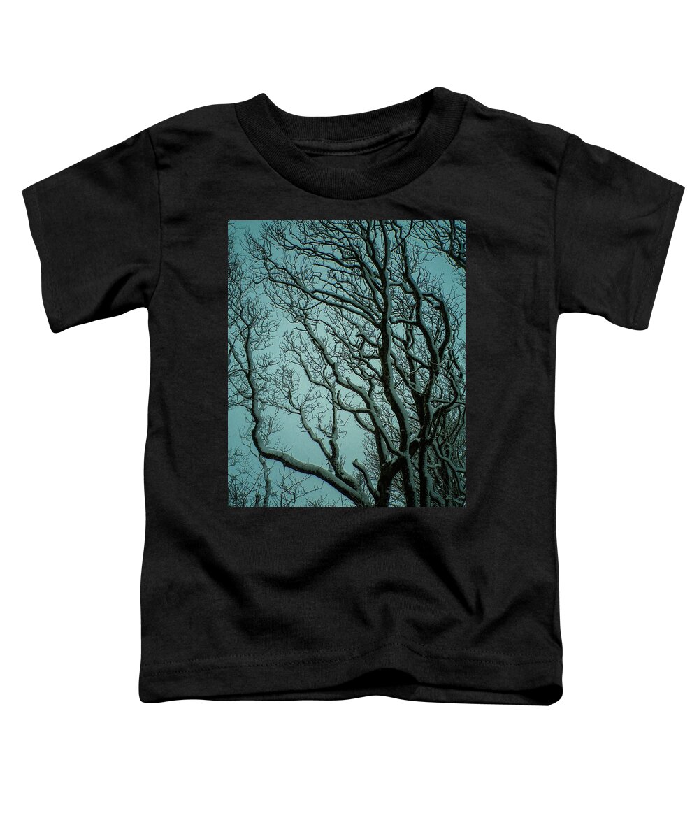 Snow Toddler T-Shirt featuring the photograph Snowy Branches by Richard Brookes