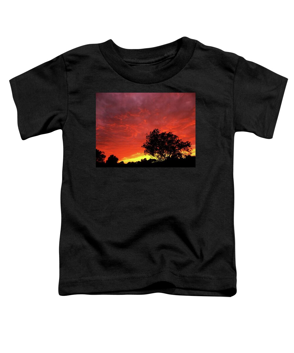 Sunset Toddler T-Shirt featuring the photograph Southern Sunset by Mark Blauhoefer