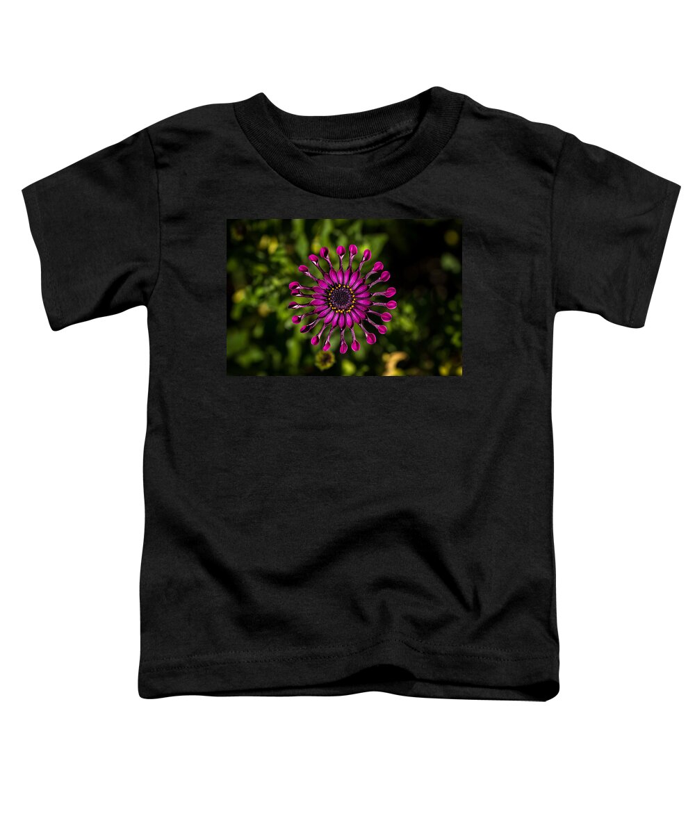 Astra-purple-spoon Toddler T-Shirt featuring the photograph Spoon Petal Osteospermum center by Shawn Jeffries