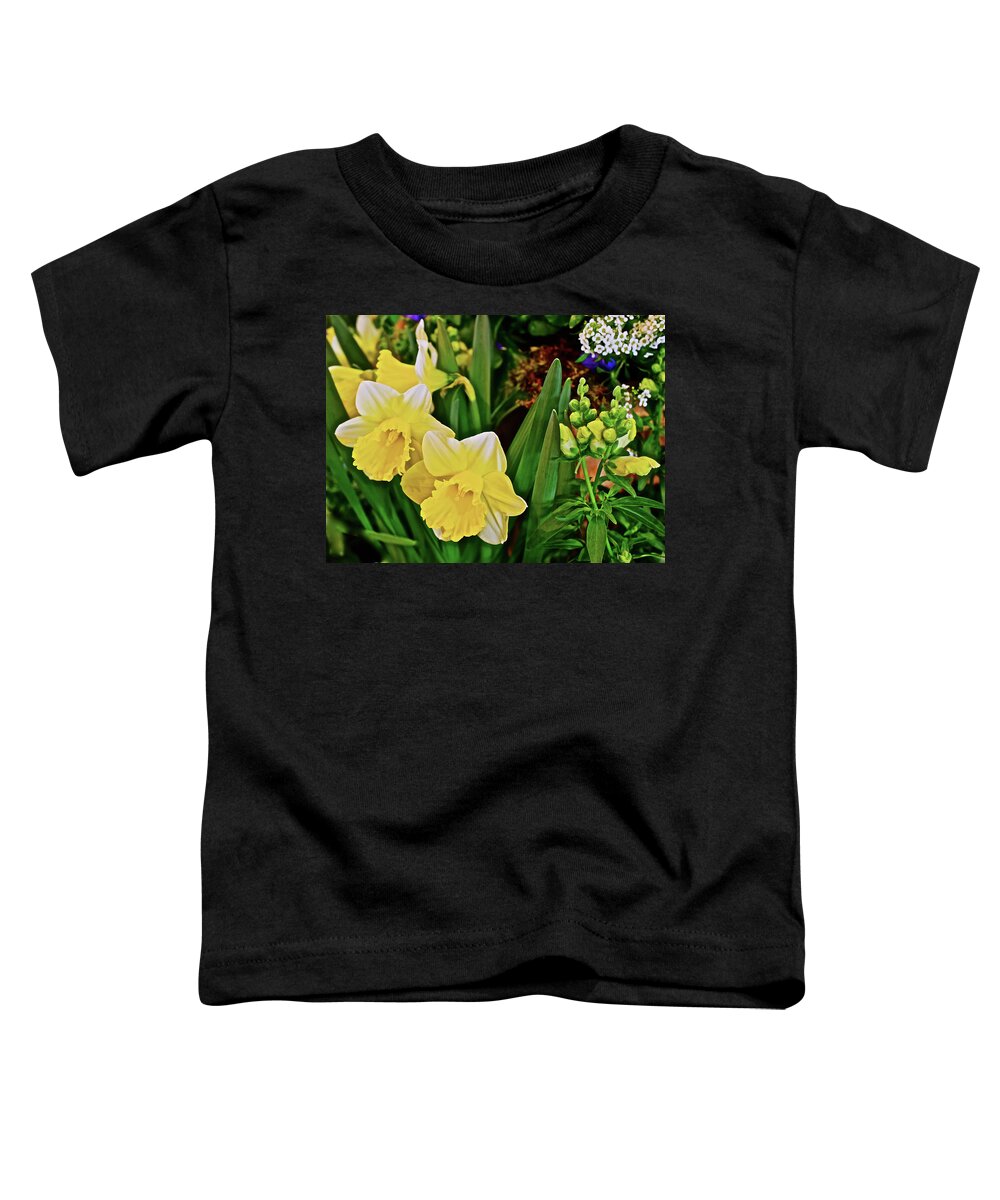 Daffodils Toddler T-Shirt featuring the photograph Spring Show 17 Narcissus 1 by Janis Senungetuk