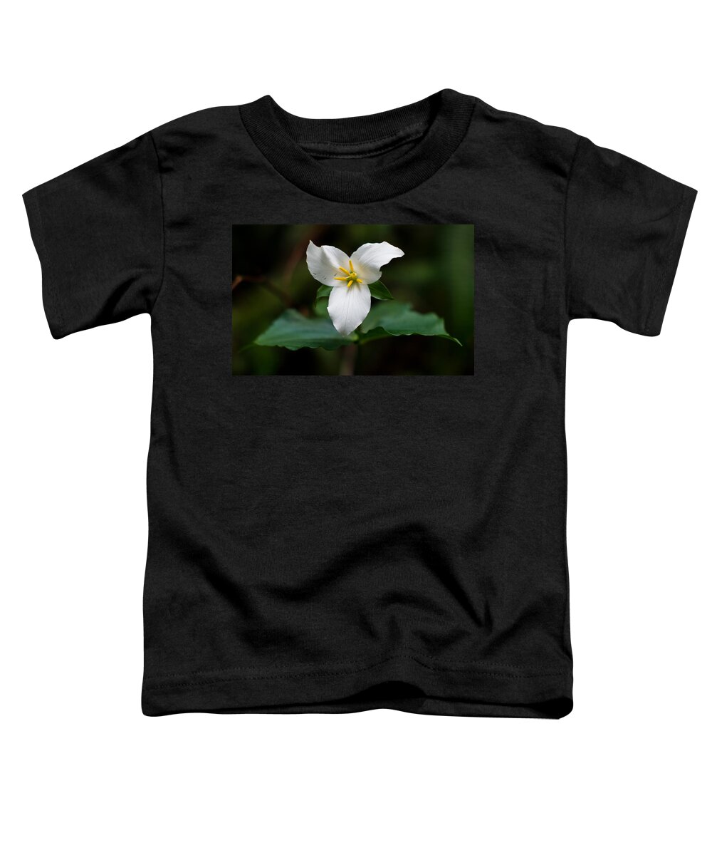 Trillium Toddler T-Shirt featuring the photograph Spring Trillium by Greg Nyquist