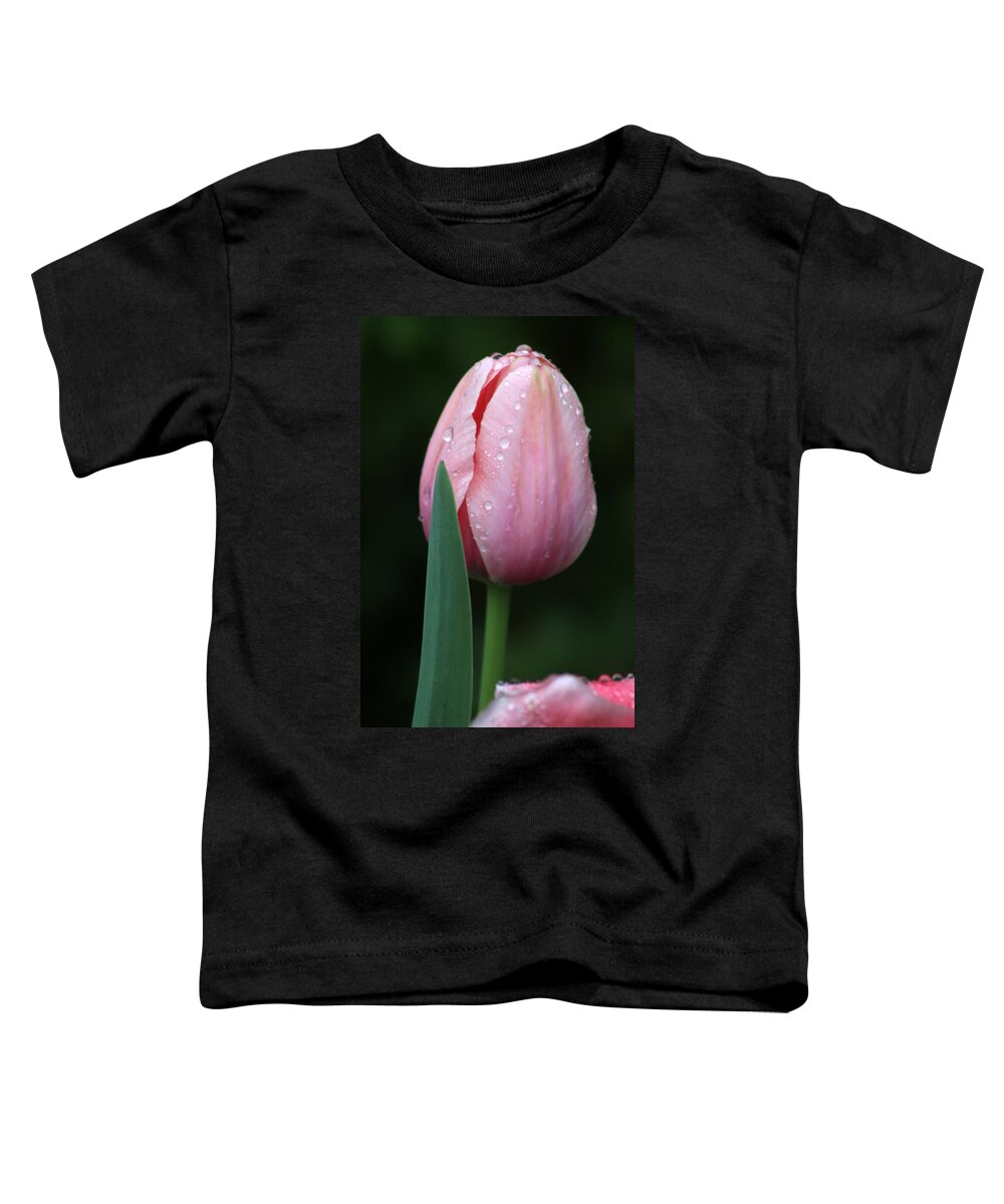 Tulip Toddler T-Shirt featuring the photograph Spring Tulips 23 by Pamela Critchlow