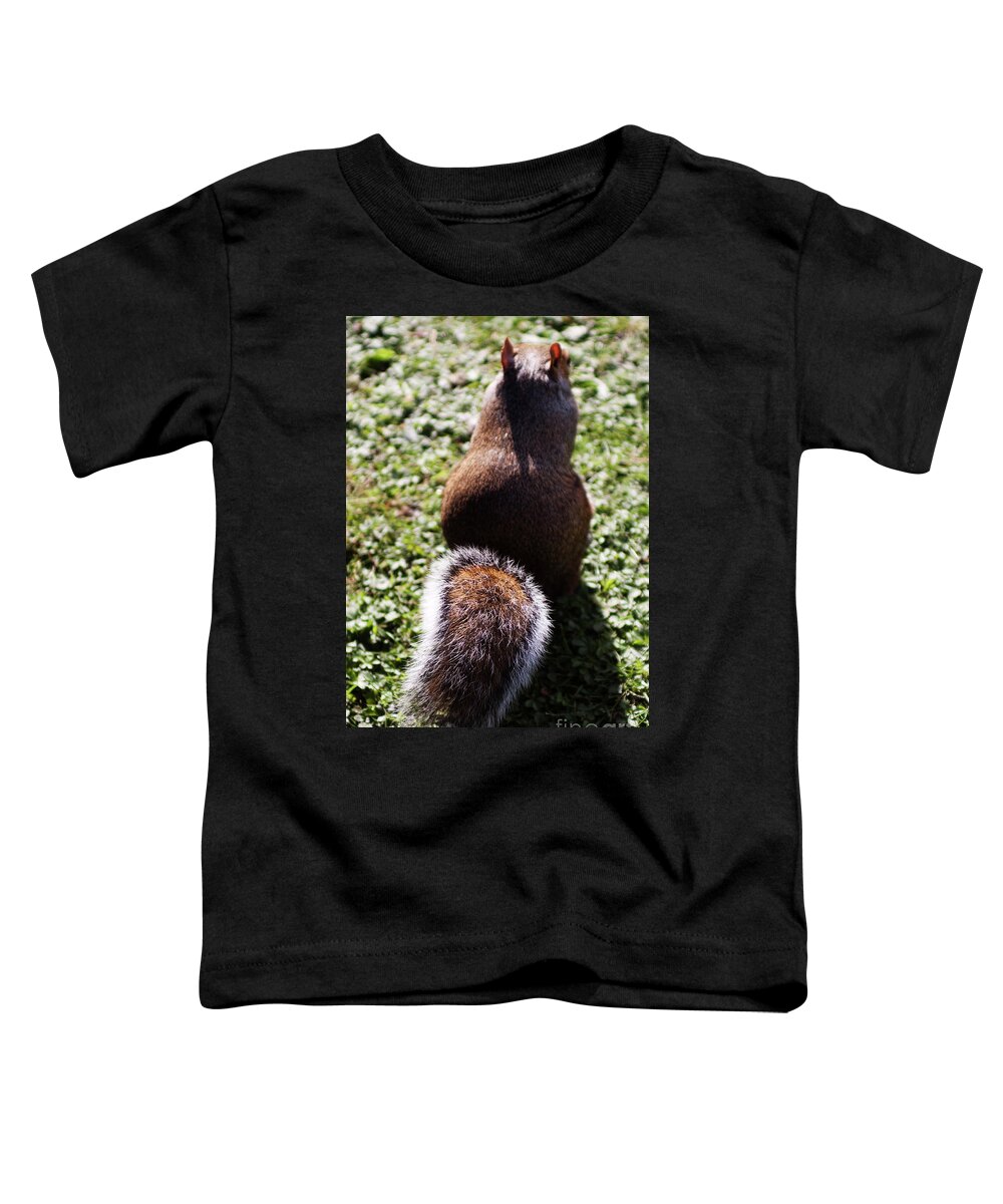 Squirrel Toddler T-Shirt featuring the photograph Squirrel s back by Agusti Pardo Rossello