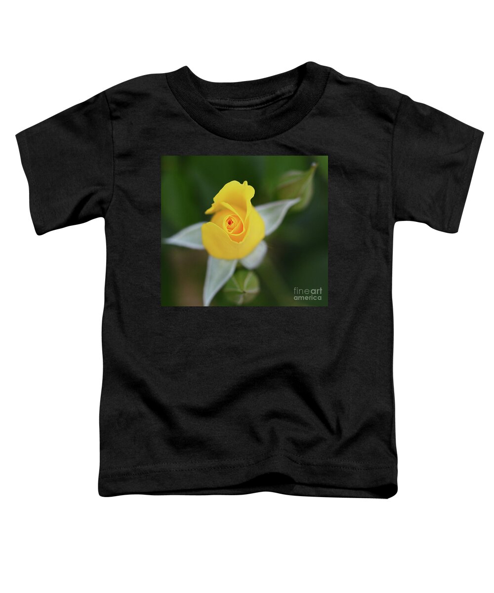 Flowers Toddler T-Shirt featuring the photograph Star of the Show by Cindy Manero