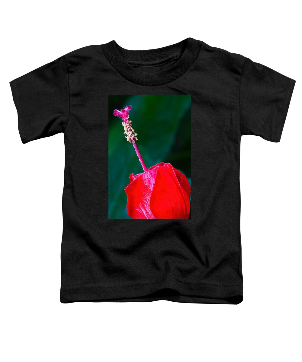 Stigma And Style Toddler T-Shirt featuring the photograph Stigma and Style by Gary Holmes
