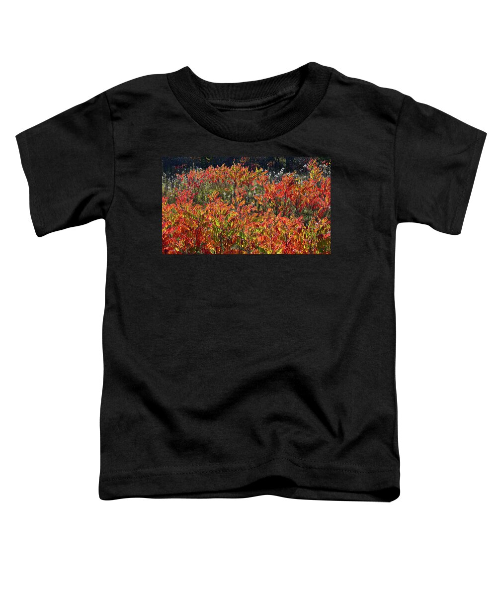 Wisconsin Toddler T-Shirt featuring the photograph Sumac Fall Color along Wisconsin I-39 by Ray Mathis