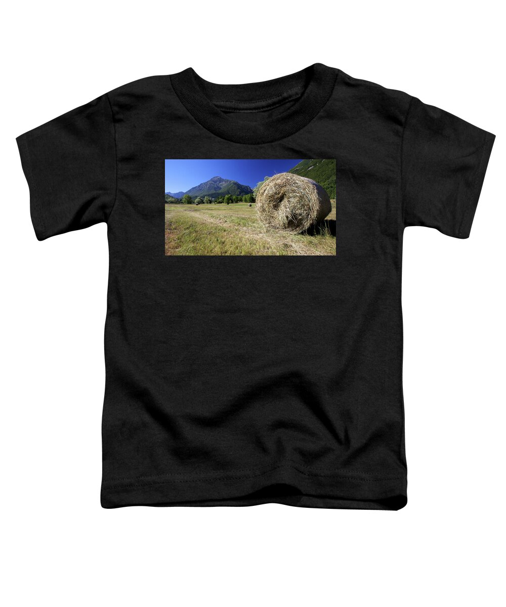 Entracque Toddler T-Shirt featuring the photograph Summertime in the Alps by Alberto Audisio