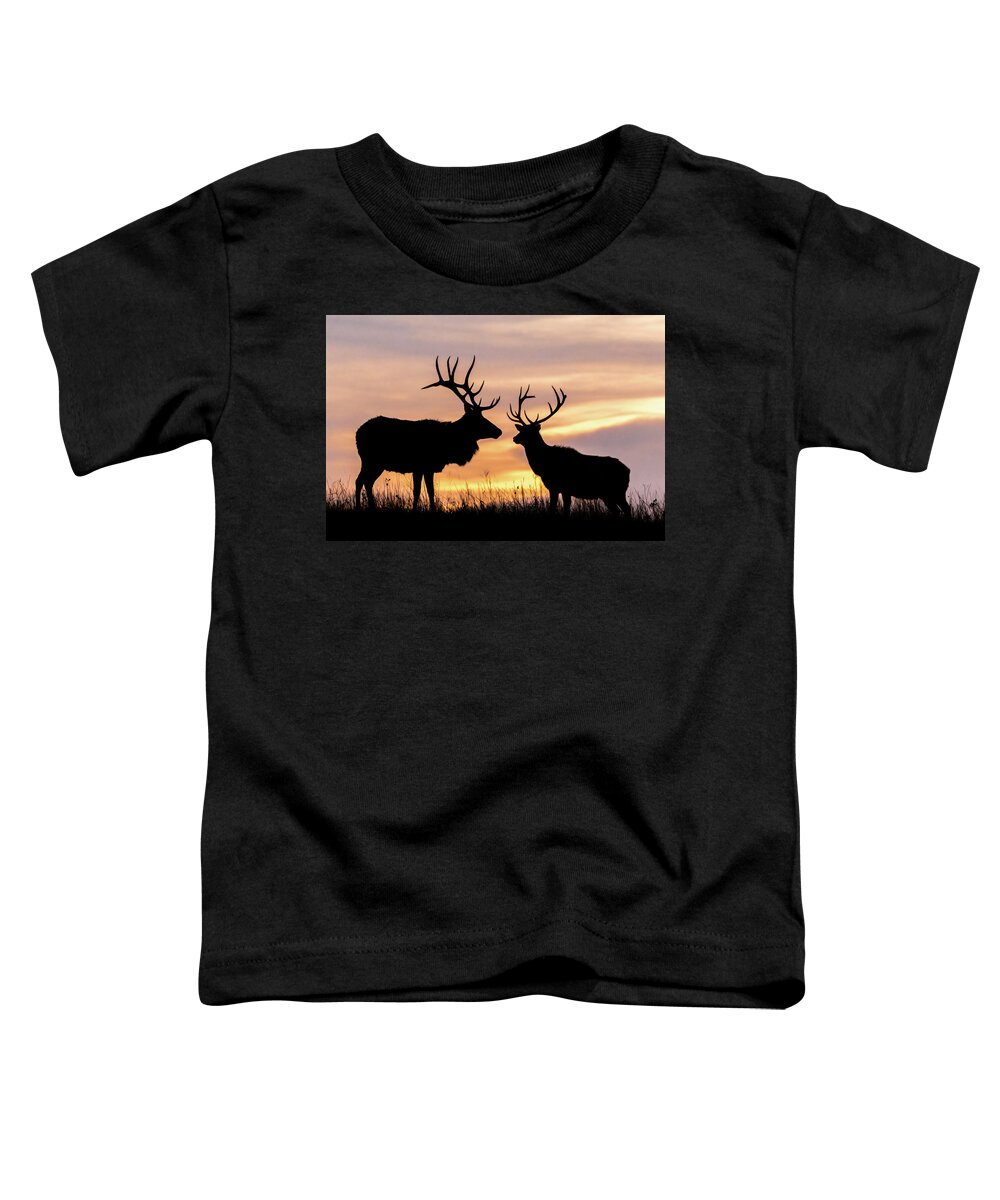 Jay Stockhaus Toddler T-Shirt featuring the photograph Sunrise by Jay Stockhaus