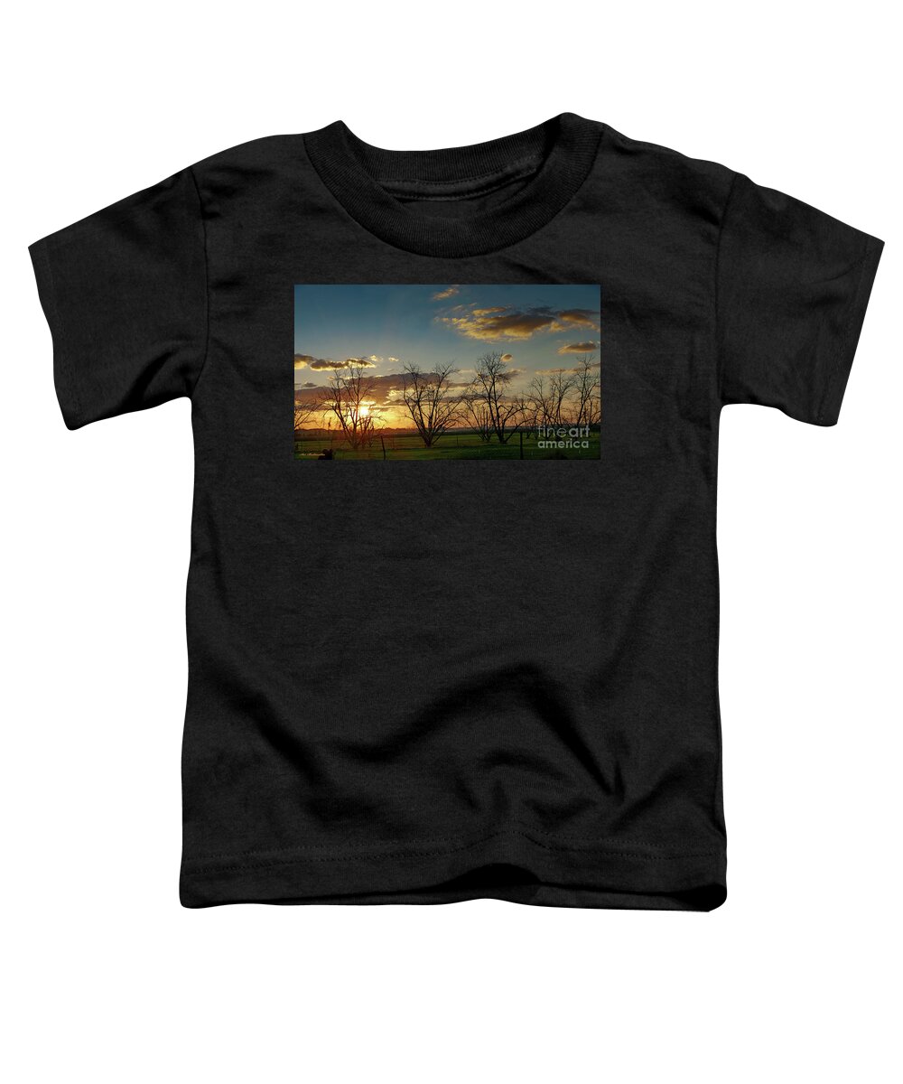 Panorama Toddler T-Shirt featuring the photograph Sunset in the fields of Binyamina by Arik Baltinester