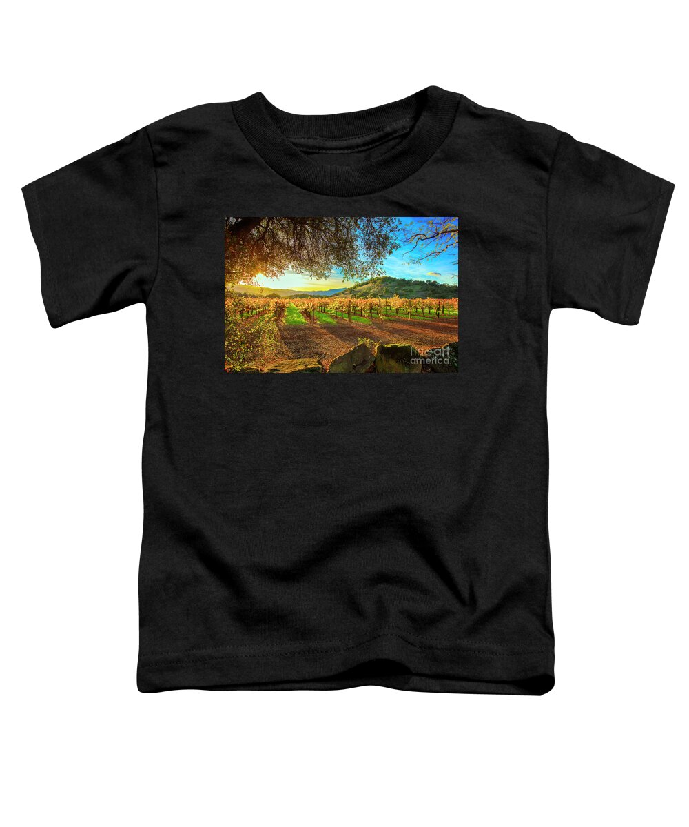 Napa Toddler T-Shirt featuring the photograph Sunset over Napa by Jon Neidert
