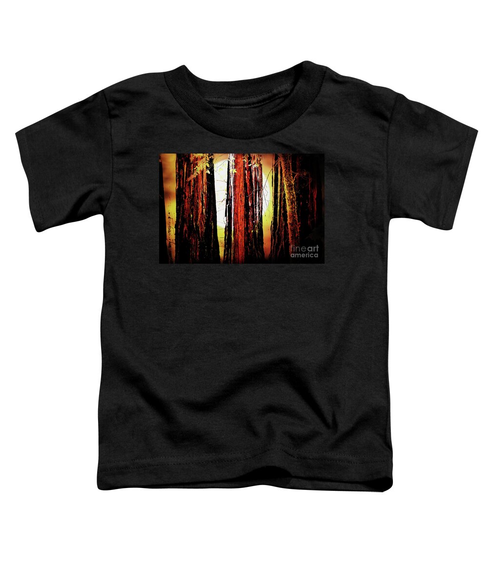 Tree Toddler T-Shirt featuring the photograph Sunset Over The Old Redwoods . 7D5433 by Wingsdomain Art and Photography
