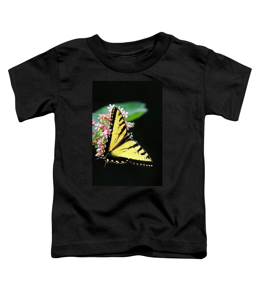 Swallowtail Butterfly Toddler T-Shirt featuring the photograph Swallowtail Butterfly and Milkweed Flowers by Christina Rollo