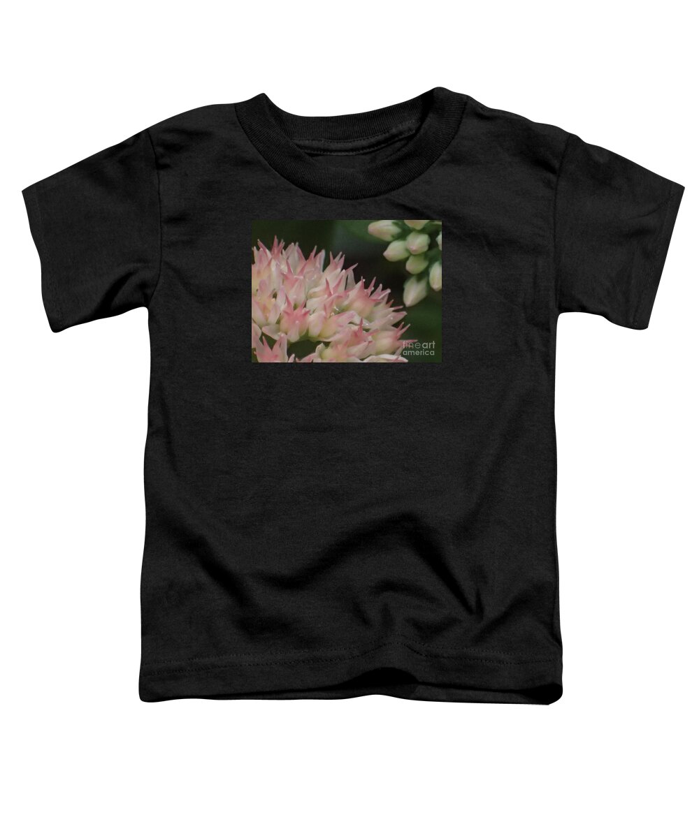 Flowers Toddler T-Shirt featuring the photograph Sweet Dreams by Christina Verdgeline