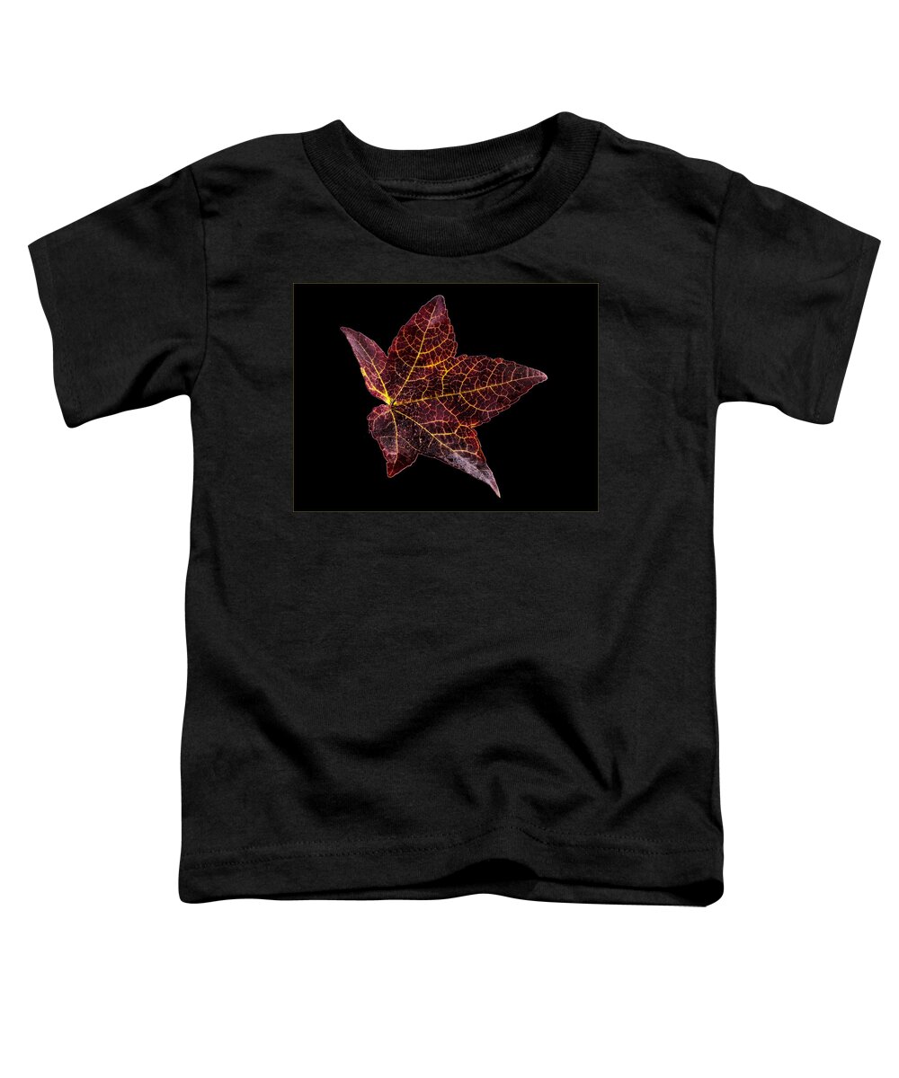 Jean Noren Toddler T-Shirt featuring the photograph Sweet Gum Leaf on Black by Jean Noren by Jean Noren