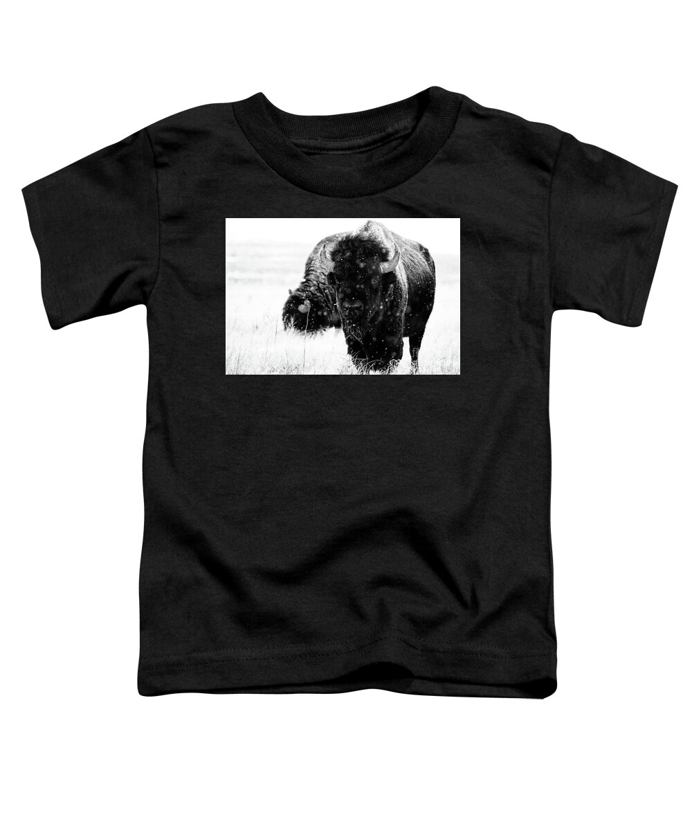 Buffalo Toddler T-Shirt featuring the photograph The Cold Brotherhood by Jim Garrison