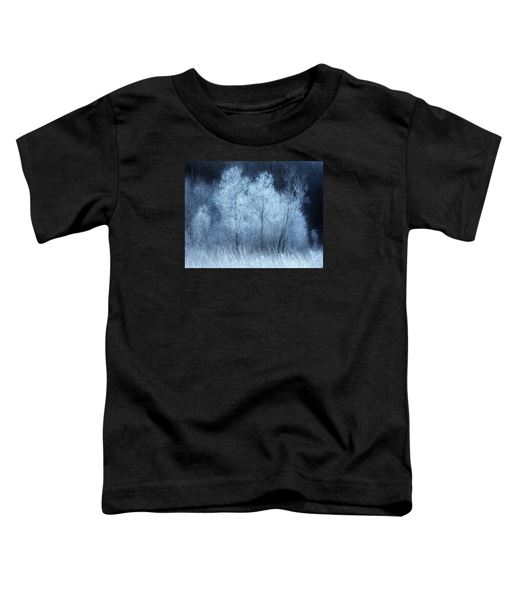 Trees Toddler T-Shirt featuring the photograph The Enchanted Forest by Lori Frisch