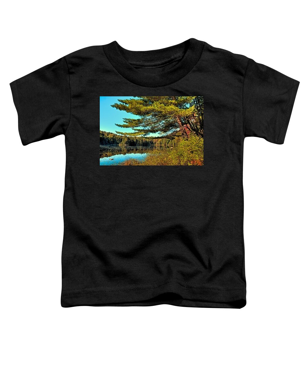 The Little Known Cary Lake Toddler T-Shirt featuring the photograph The Little Known Cary Lake by David Patterson