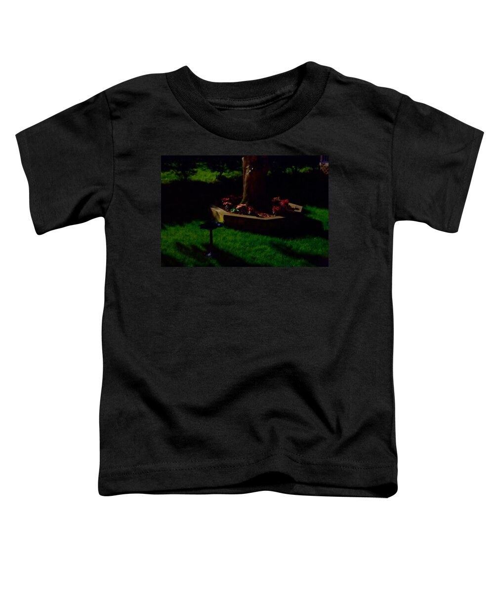 Night Photography Toddler T-Shirt featuring the photograph The Midnight Garden by Mike Smale