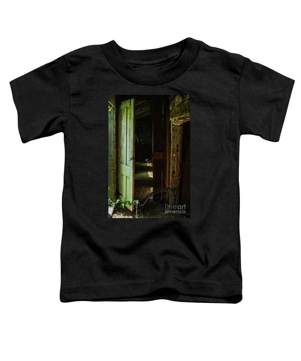 Interior Toddler T-Shirt featuring the photograph The Old Barn by Debra Fedchin