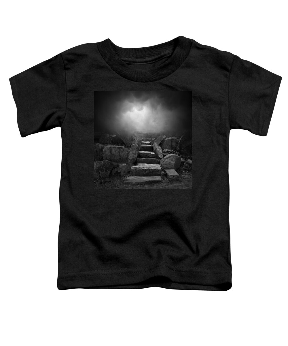 Stone Toddler T-Shirt featuring the photograph The Stone Steps I by David Gordon
