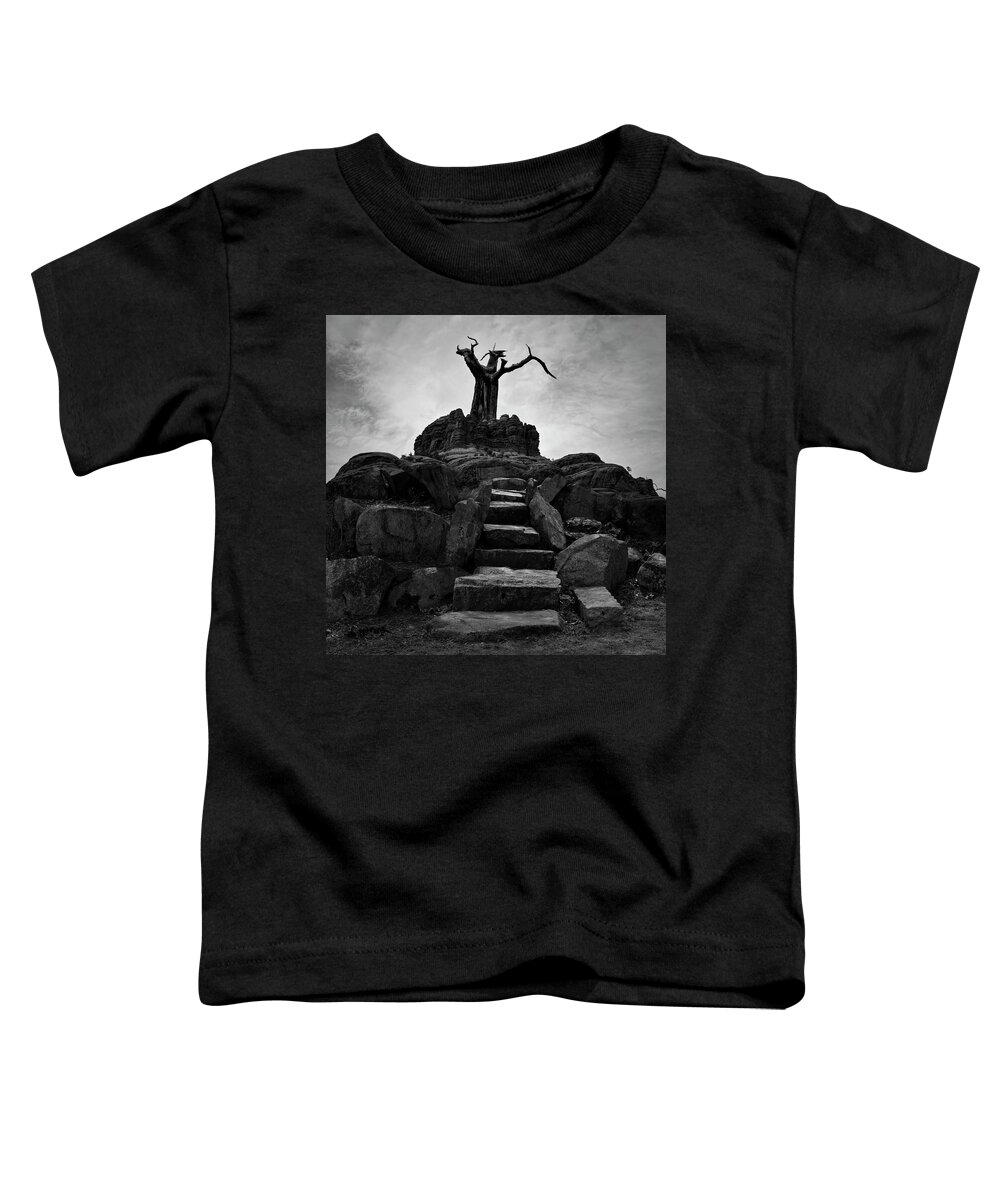 Stone Toddler T-Shirt featuring the photograph The Stone Steps II BW by David Gordon