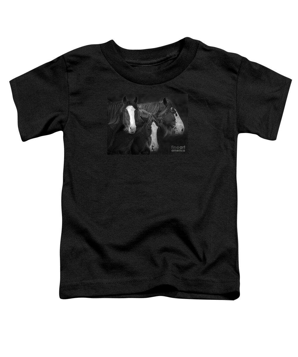 Festblues Toddler T-Shirt featuring the photograph The Three Sombreros.. by Nina Stavlund