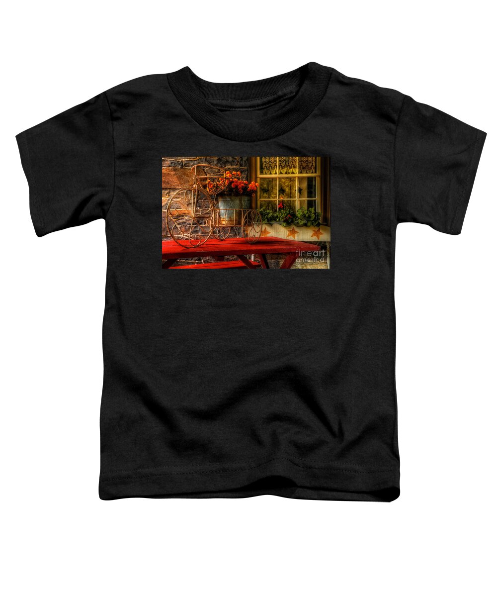 Tricycle Toddler T-Shirt featuring the photograph The Tricycle by Lois Bryan