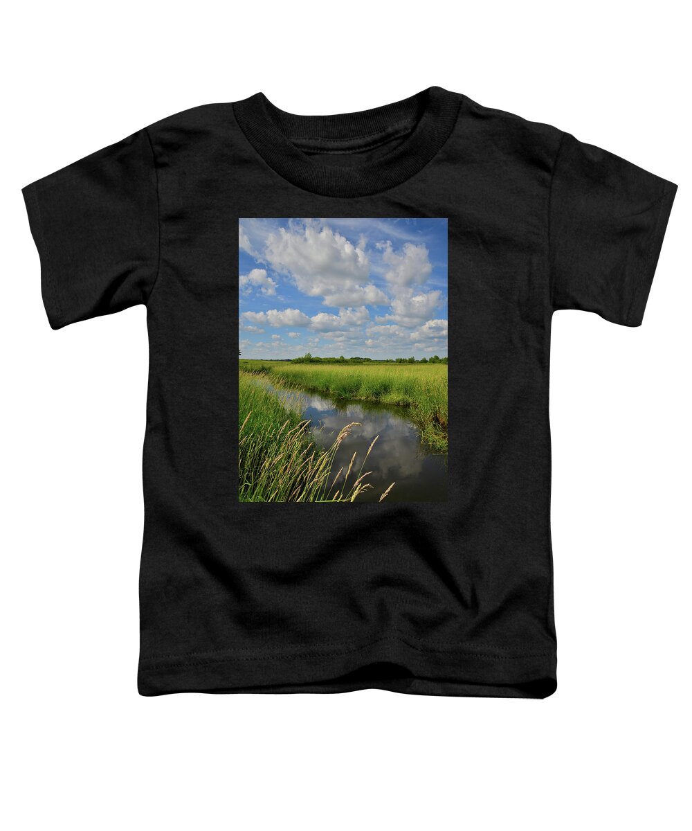 Glacial Park Toddler T-Shirt featuring the photograph The Wetlands of Hackmatack National Wildlife Refuge by Ray Mathis
