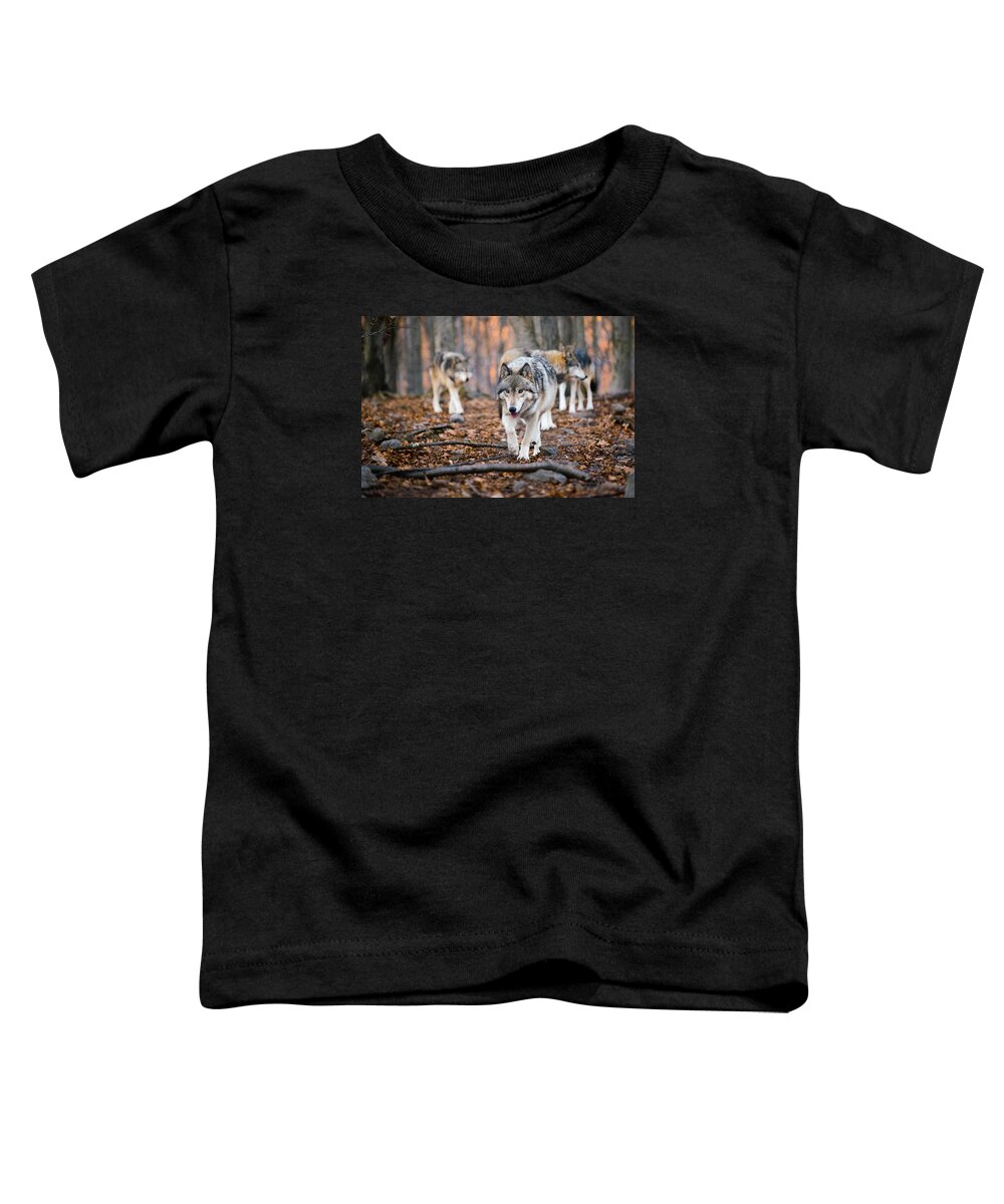 Wolves Toddler T-Shirt featuring the photograph The Wolfpack by Mark Rogers