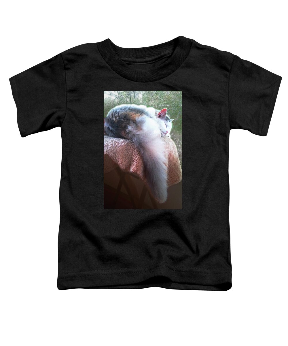 Cat Toddler T-Shirt featuring the photograph Thereby Hangs a Tail by Ginny Schmidt