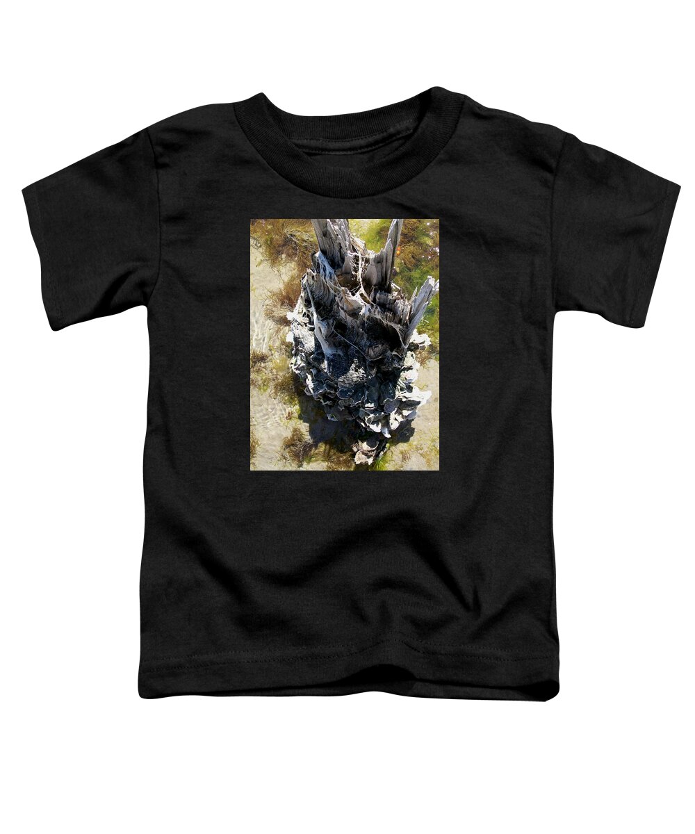 Wood Toddler T-Shirt featuring the photograph Tidal Sculpture by Laurette Escobar