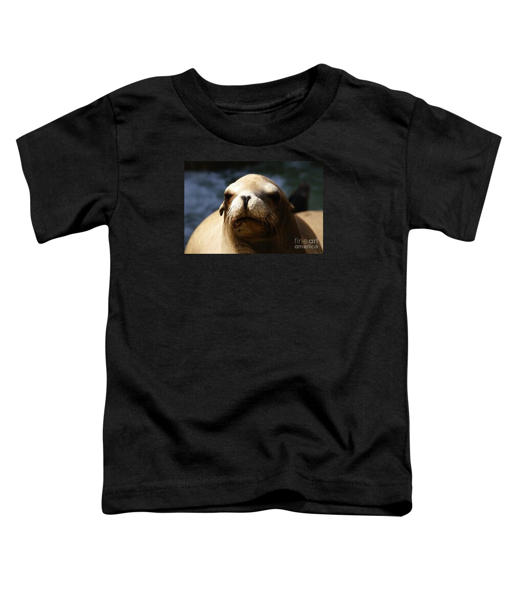 Eared Seal Toddler T-Shirt featuring the photograph To Bask in Royal Sun by Linda Shafer