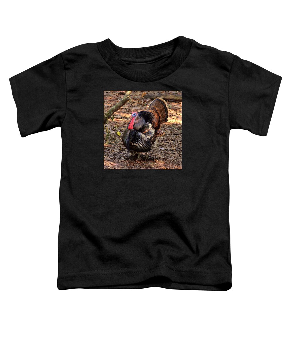 Turkey Toddler T-Shirt featuring the photograph Tom the Turkey by Carla Parris
