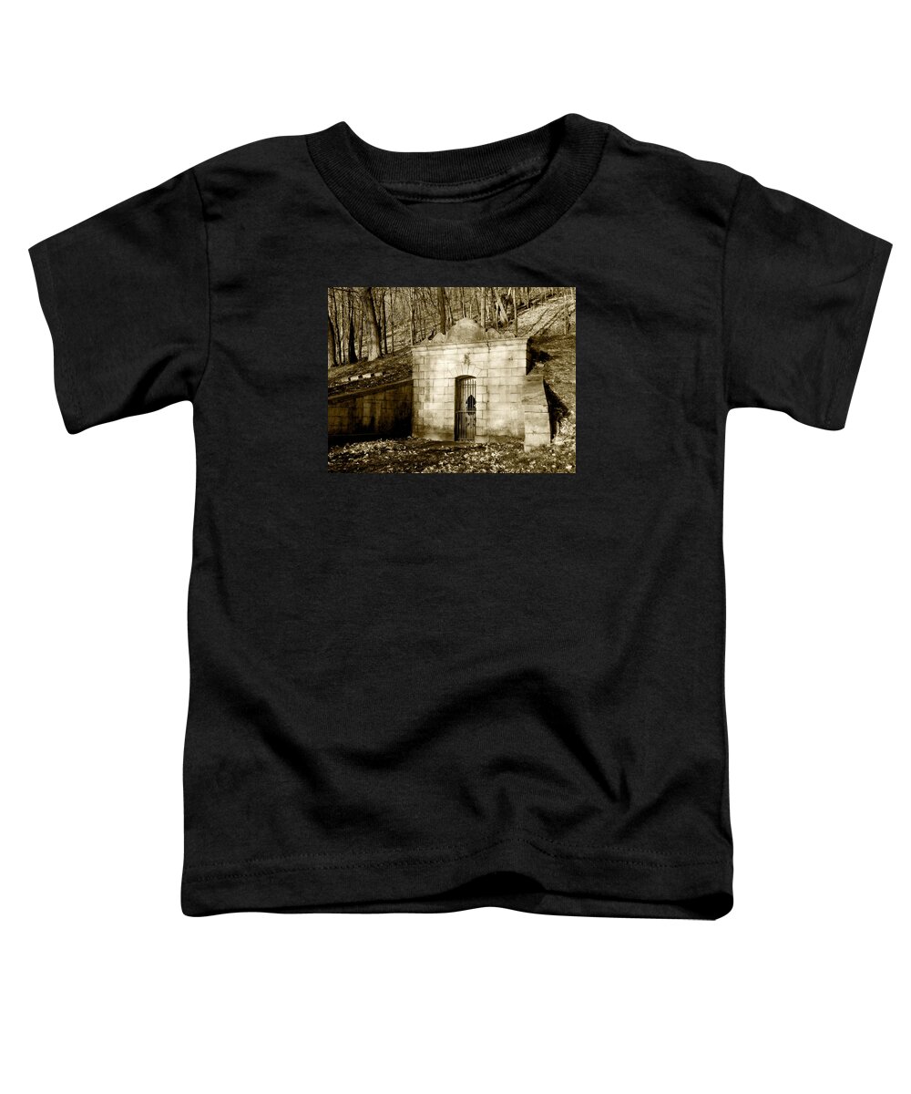 Early Spring Toddler T-Shirt featuring the photograph Tomb With a View in Sepia by Wild Thing