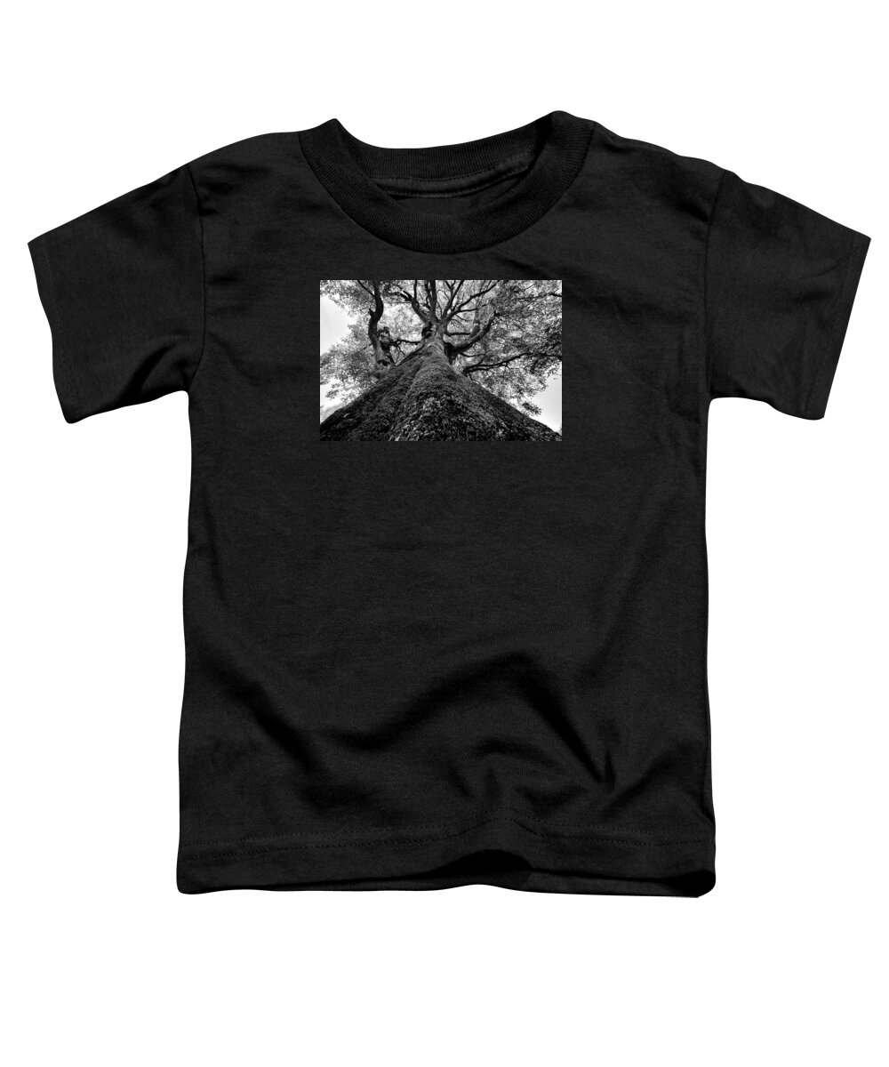 Tree Toddler T-Shirt featuring the photograph Tree by Effezetaphoto Fz