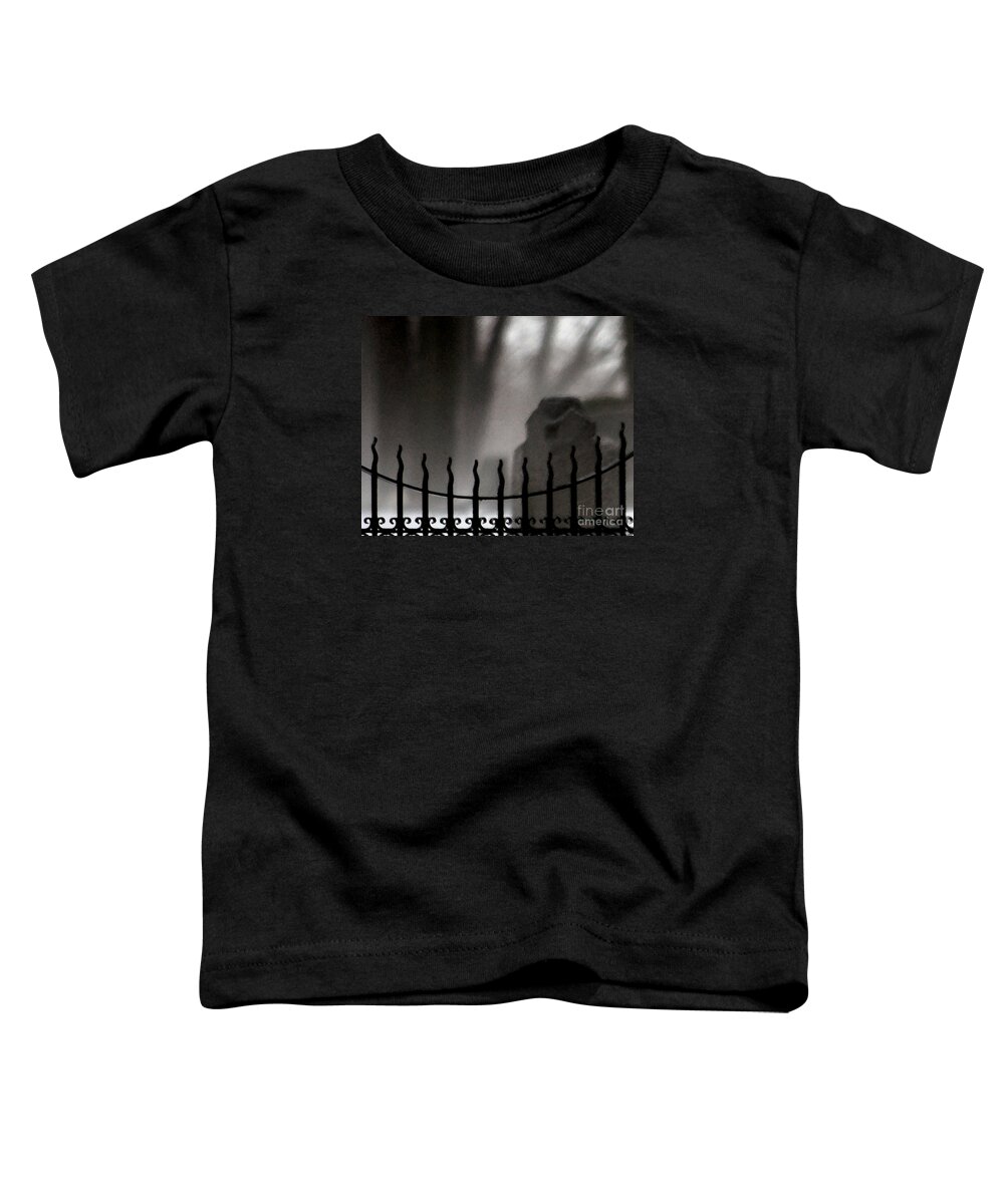 Cemetery Toddler T-Shirt featuring the photograph Twilight Beyond Grace by Linda Shafer