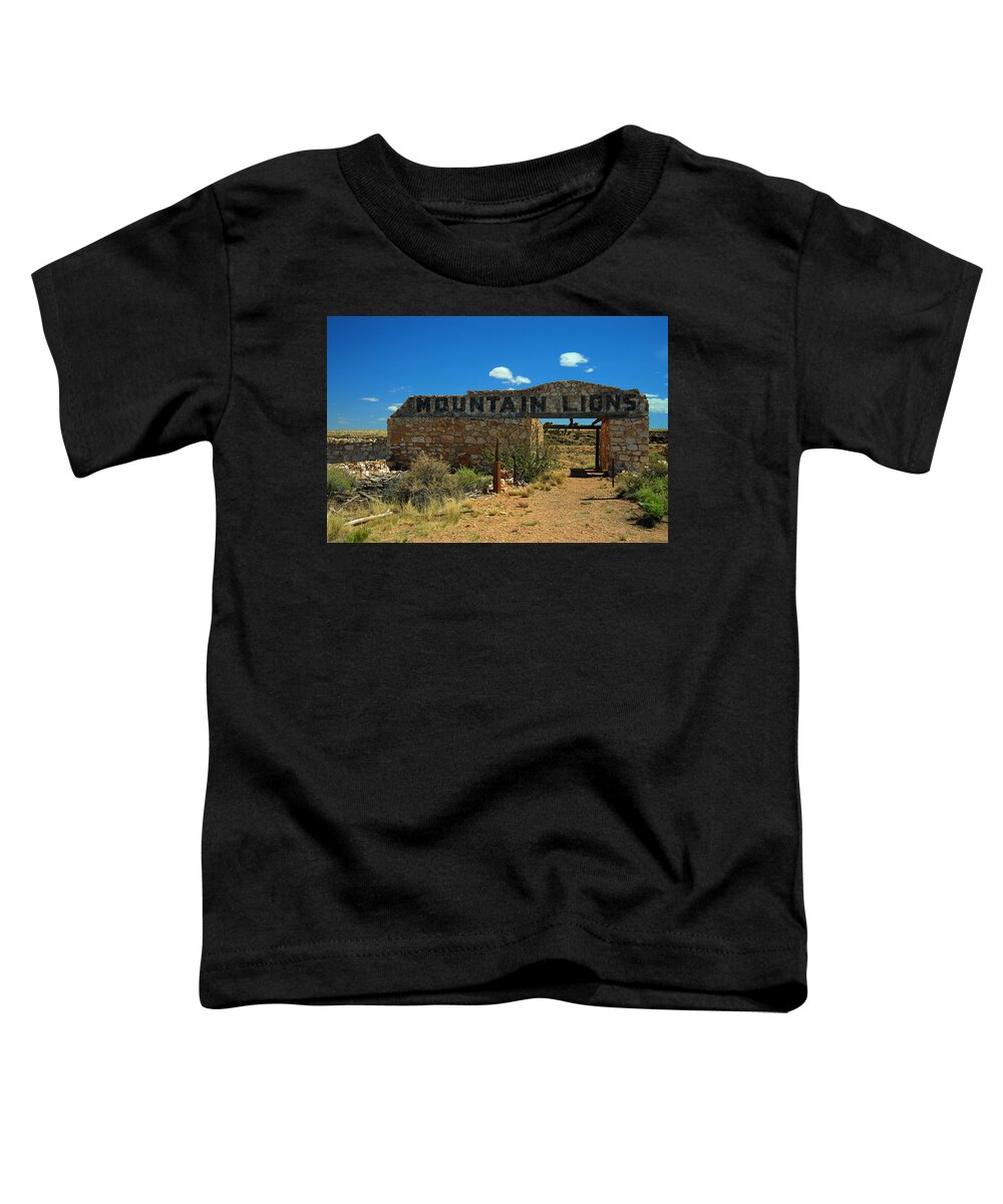 Home Toddler T-Shirt featuring the photograph Two Guns by Richard Gehlbach