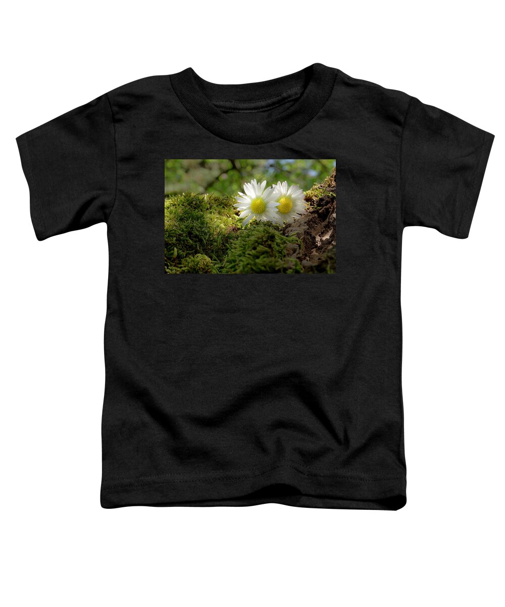 Daisy Toddler T-Shirt featuring the photograph Two little daisies by Wolfgang Stocker