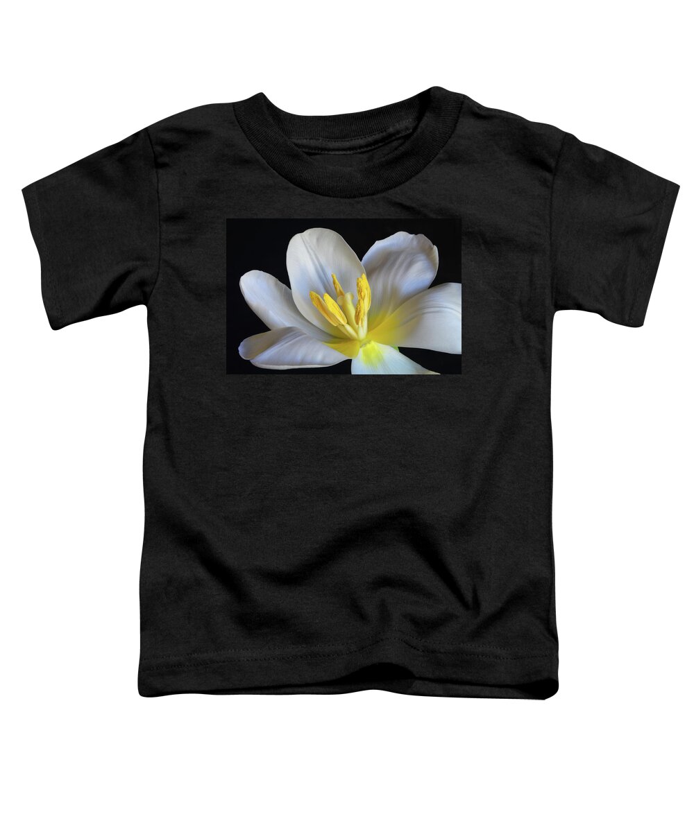 Tulips Toddler T-Shirt featuring the photograph Unfolding Tulip. by Terence Davis