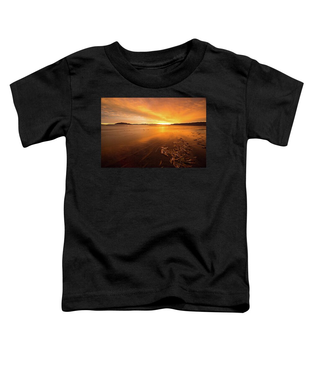Utah Toddler T-Shirt featuring the photograph Utah Lake Sunset by Wesley Aston
