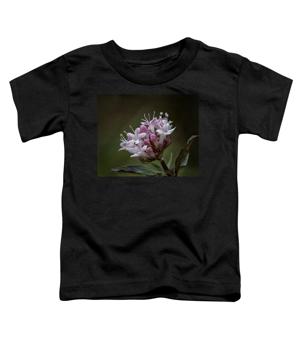 Valeriana Californica Toddler T-Shirt featuring the photograph Valeriana californica by Betty Depee