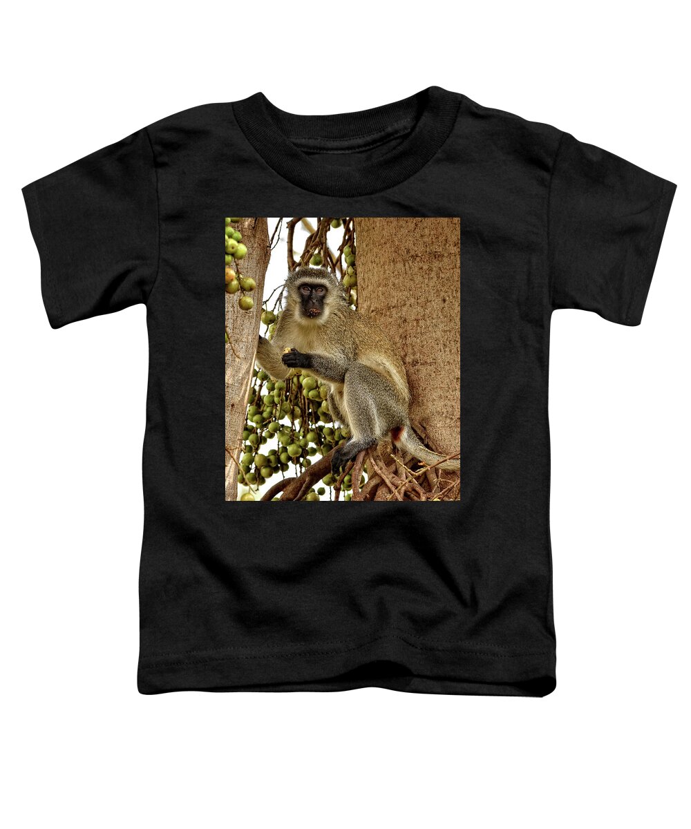 Africa Toddler T-Shirt featuring the photograph Vervet Monkey by Mitchell R Grosky