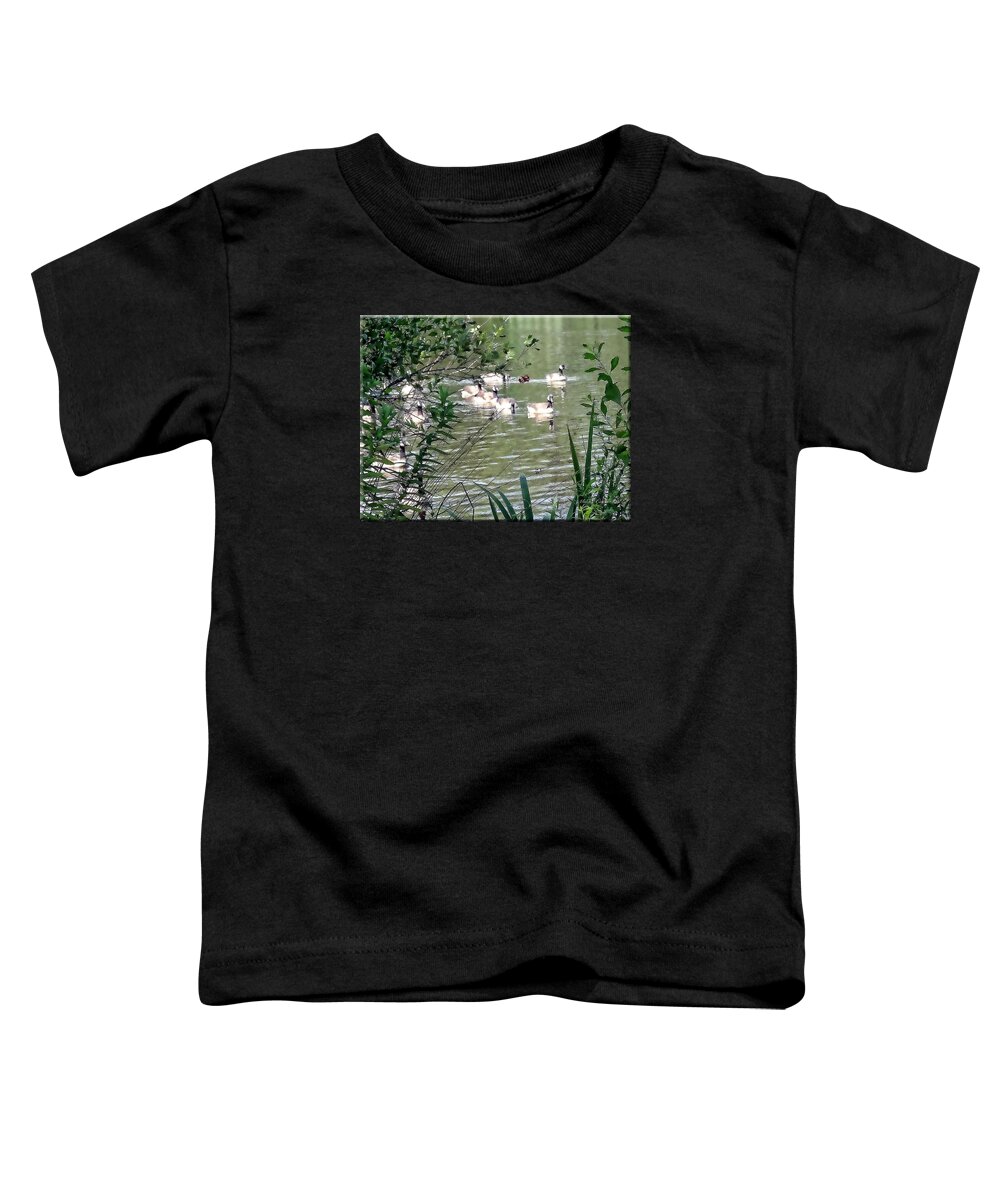 Park Toddler T-Shirt featuring the photograph Waterfowl at the park by Mikki Cucuzzo