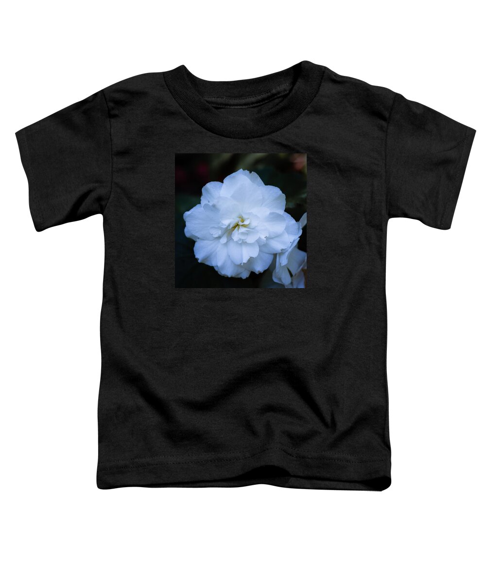 Bellingham Toddler T-Shirt featuring the photograph White as Snow Begonia by Judy Wright Lott