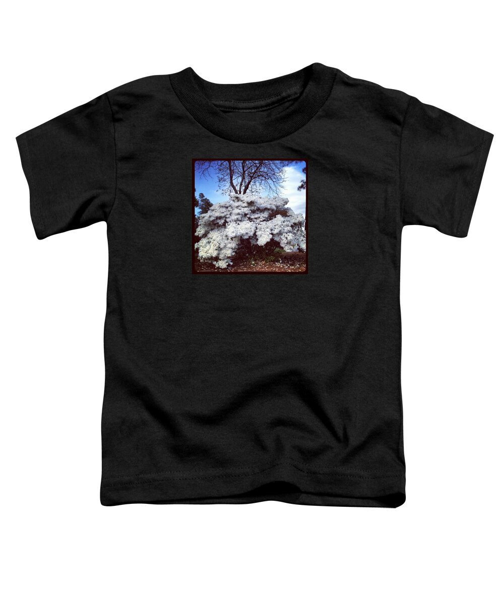 Plants Toddler T-Shirt featuring the photograph White Bloom 2012 by Will Felix
