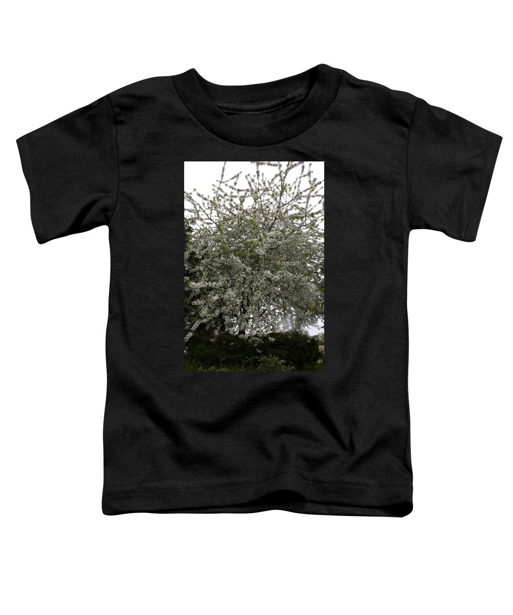 White Blossomed Three Toddler T-Shirt featuring the photograph White Blossomed Tree by Donna L Munro