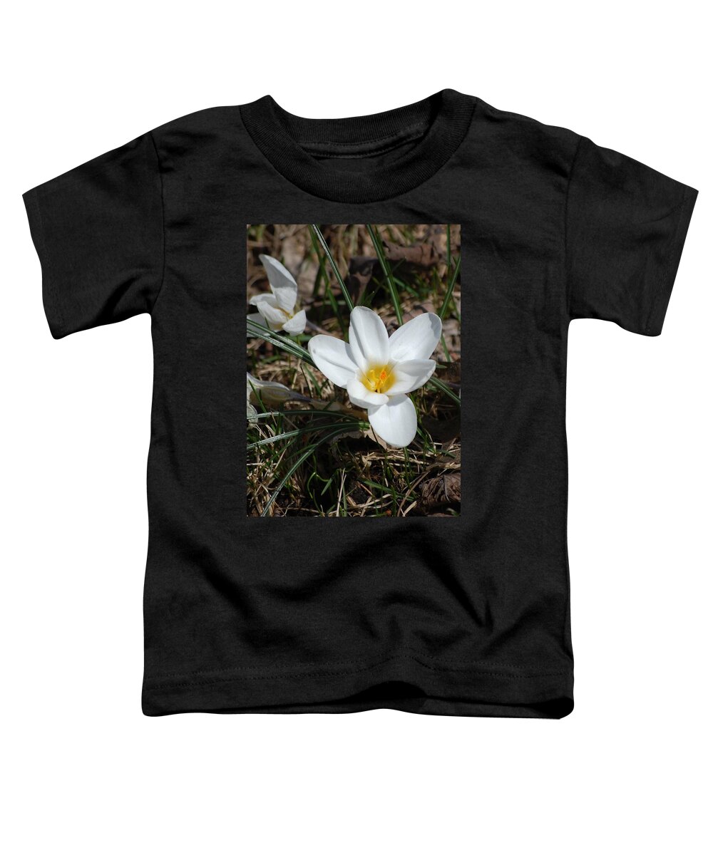 Digital Photography Toddler T-Shirt featuring the photograph white Crocus by David Lane