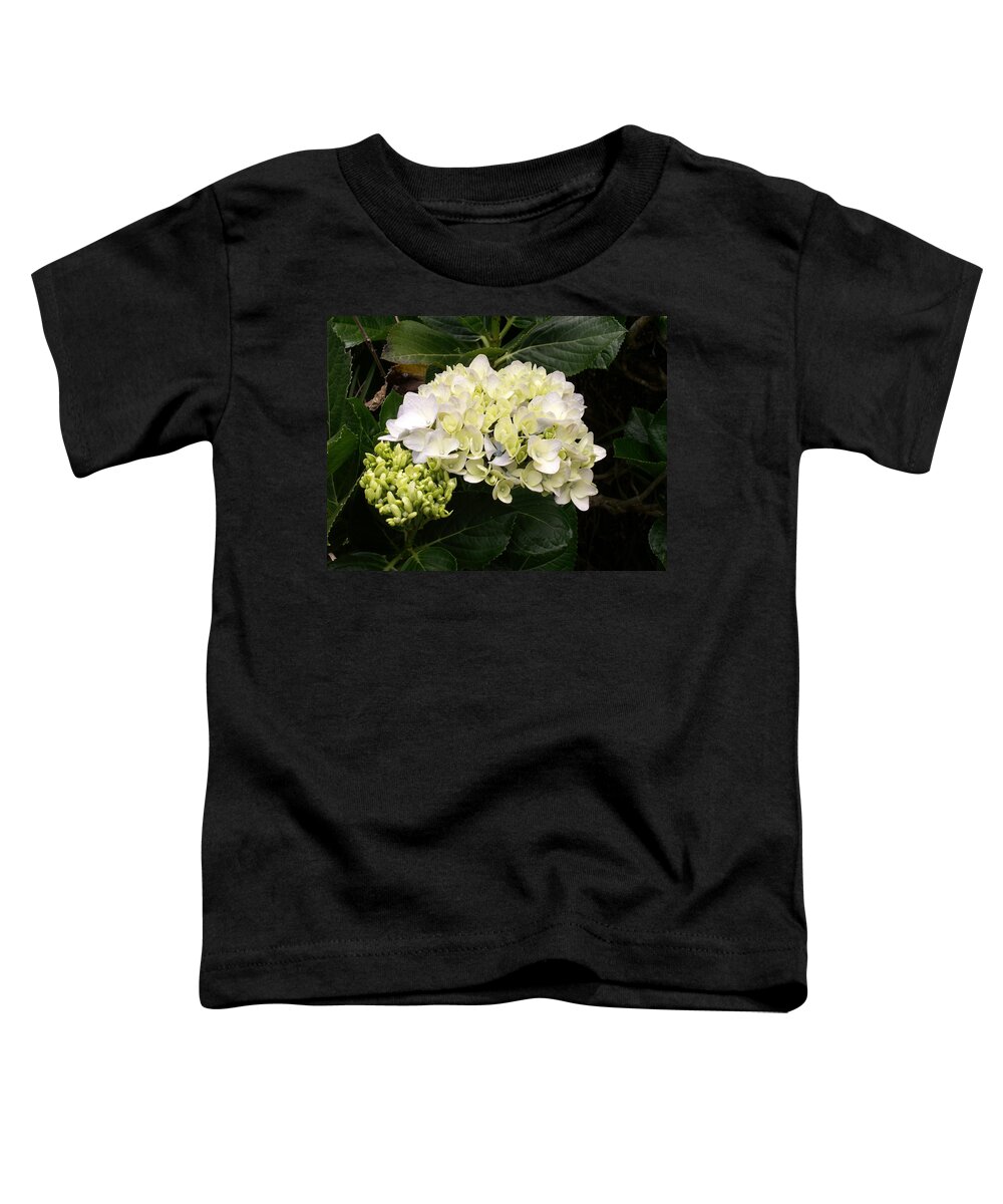 Flower Toddler T-Shirt featuring the photograph White Hydrangeas by Amy Fose